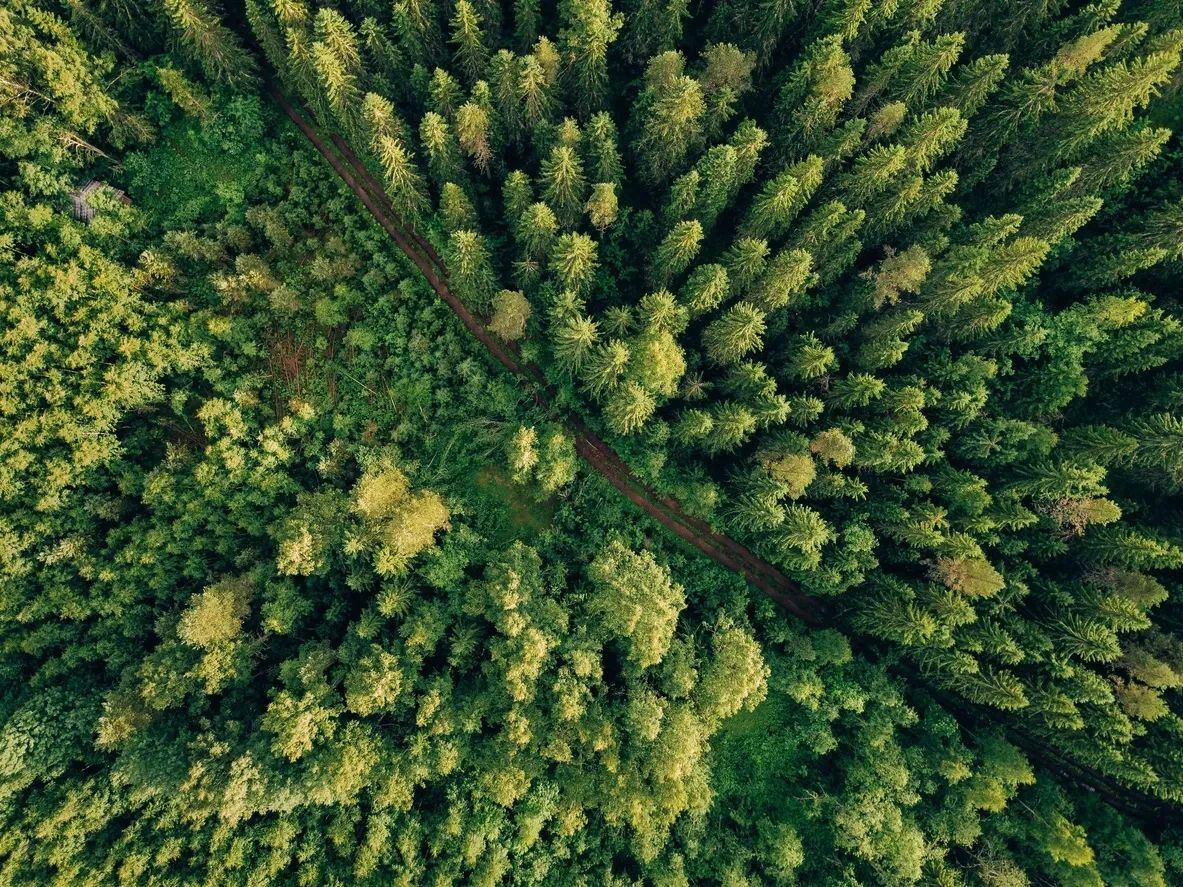Sustainability